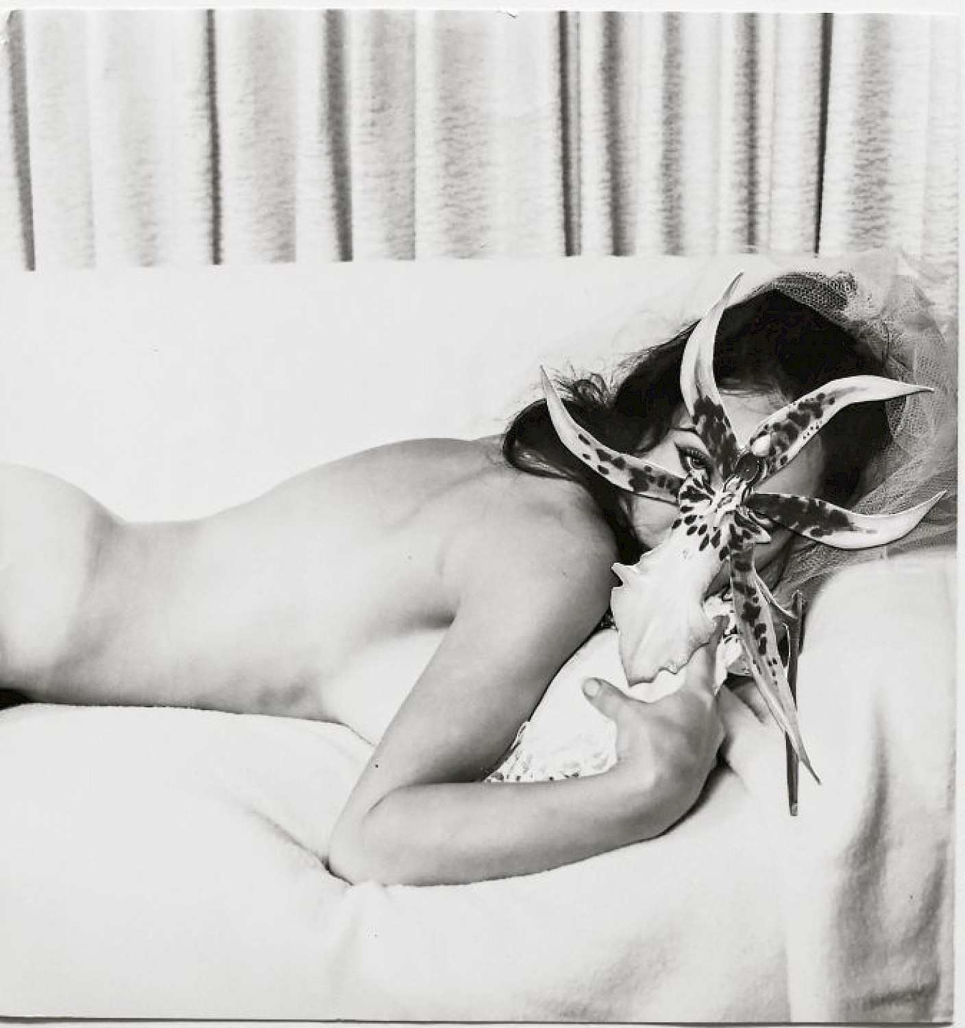 © Kirsten Becken: Orchid, 2023